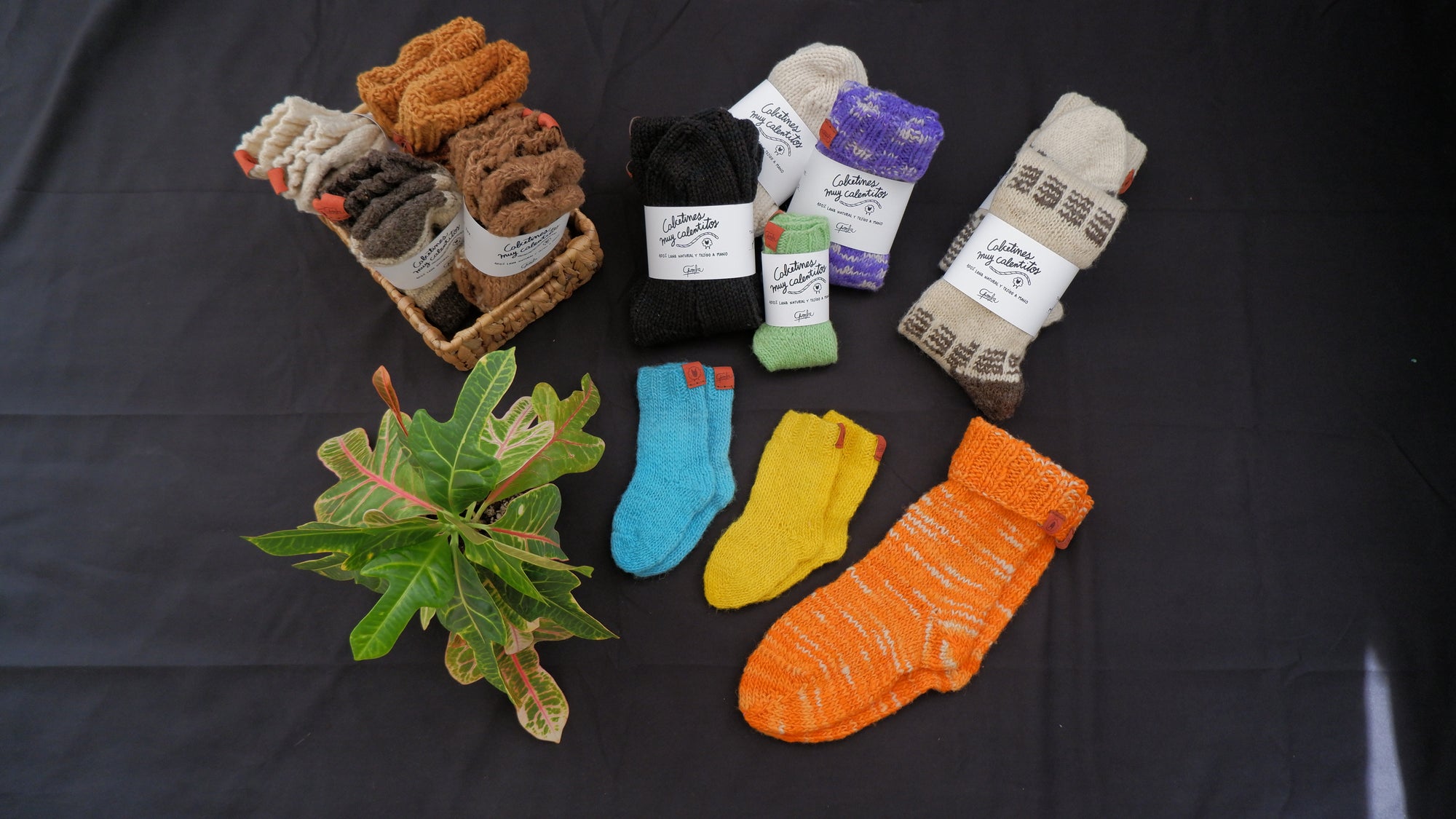 Calcetines de lana